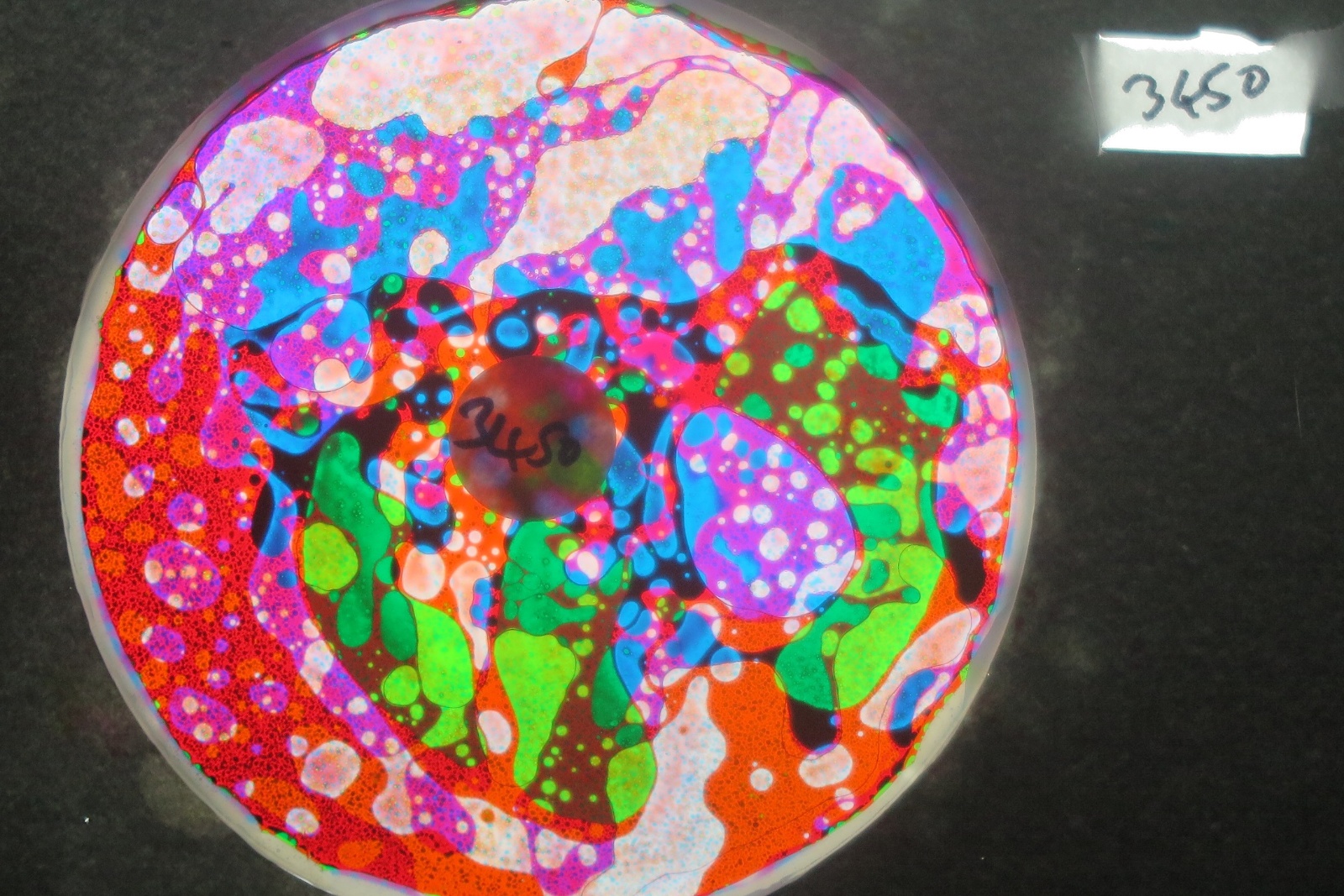 BV3450 bubble vision oil wheel